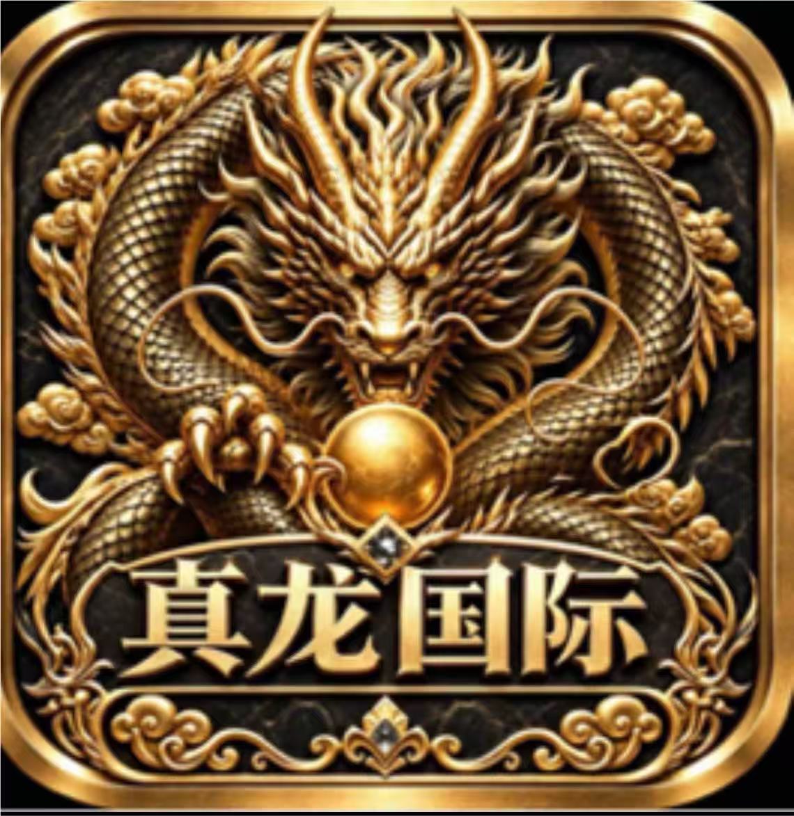 真龙国际